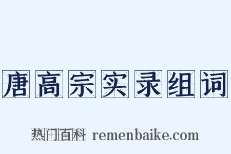唐高宗实录组词是什么意思的图片